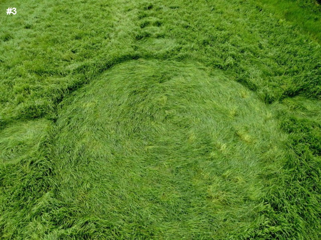Grass Pattern at Hoeven, Noord-Brabant, Netherlands crop circle, aerial photo 16