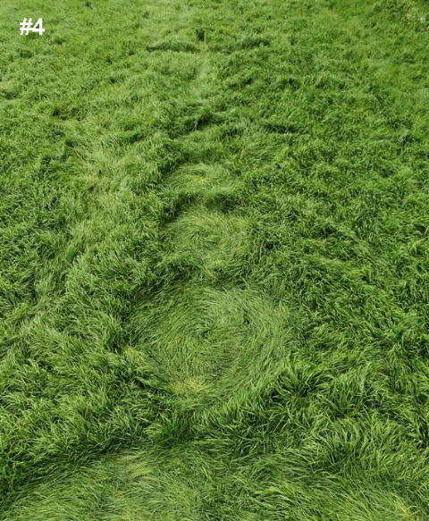 Grass Pattern at Hoeven, Noord-Brabant, Netherlands crop circle, aerial photo 17