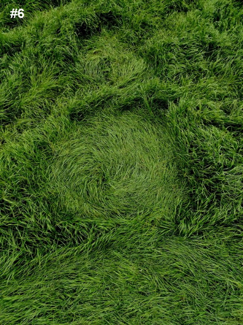 Grass Pattern at Hoeven, Noord-Brabant, Netherlands crop circle, aerial photo 19
