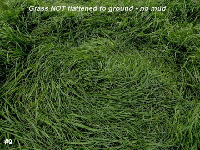 Grass Pattern at Hoeven, Noord-Brabant, Netherlands crop circle, aerial photo 22