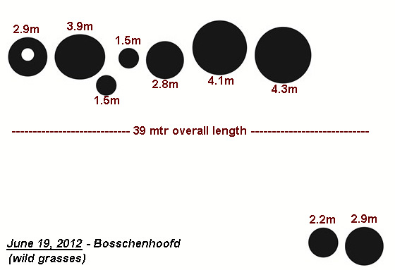 Bosschenhoofd, near local airport, Netherlands crop circle, diagram 1