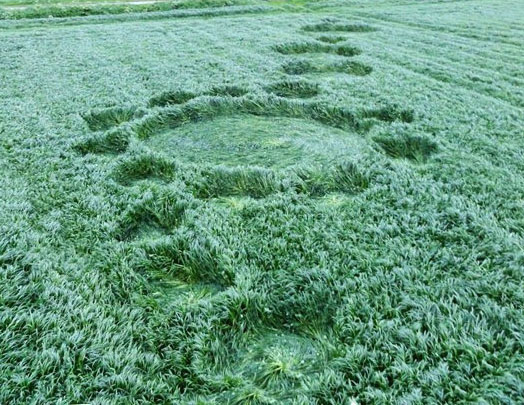 Hoeven, Noord-Brabant, Netherlands crop circle, aerial photo 3