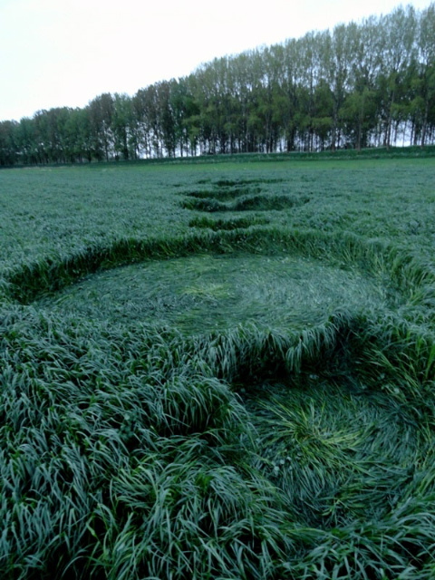 Hoeven, Noord-Brabant, Netherlands crop circle, aerial photo 4