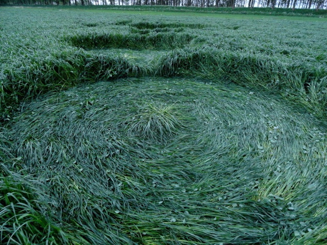 Hoeven, Noord-Brabant, Netherlands crop circle, aerial photo 5