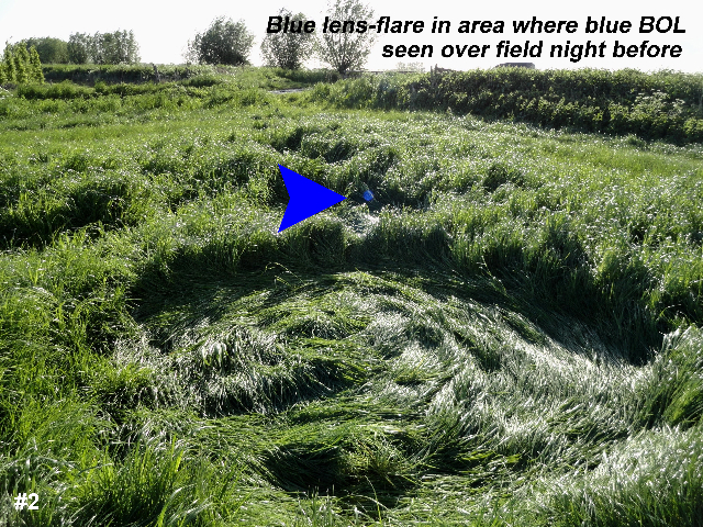 Grass Pattern at Hoeven, Noord-Brabant, Netherlands crop circle, aerial photo 3