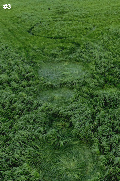 Grass Pattern at Hoeven, Noord-Brabant, Netherlands crop circle, aerial photo 4