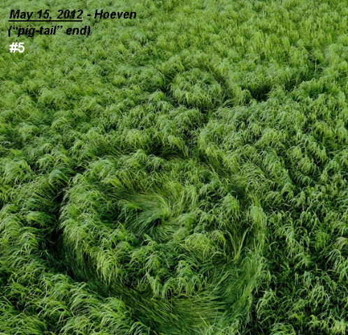 Grass Pattern at Hoeven, Noord-Brabant, Netherlands crop circle, aerial photo 6