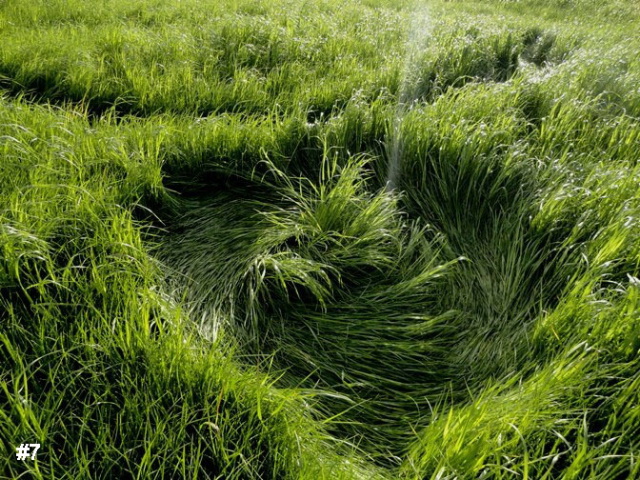 Grass Pattern at Hoeven, Noord-Brabant, Netherlands crop circle, aerial photo 8