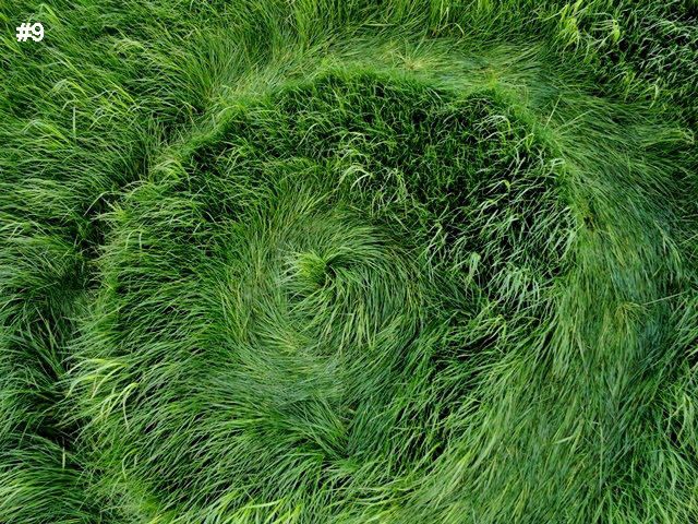 Grass Pattern at Hoeven, Noord-Brabant, Netherlands crop circle, aerial photo 10