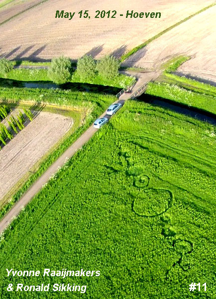 Grass Pattern at Hoeven, Noord-Brabant, Netherlands crop circle, aerial photo 12