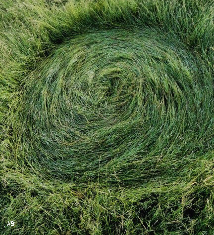 Bosschenhoofd, near local airport, Netherlands crop circle, aerial photo 10