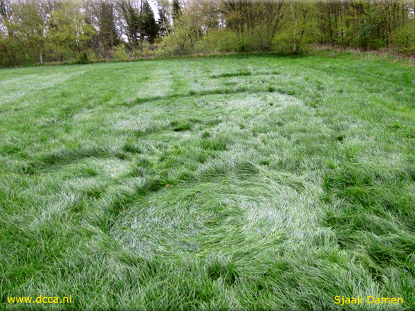 Bosschenhoofd, Netherlands crop circle, aerial photo 8