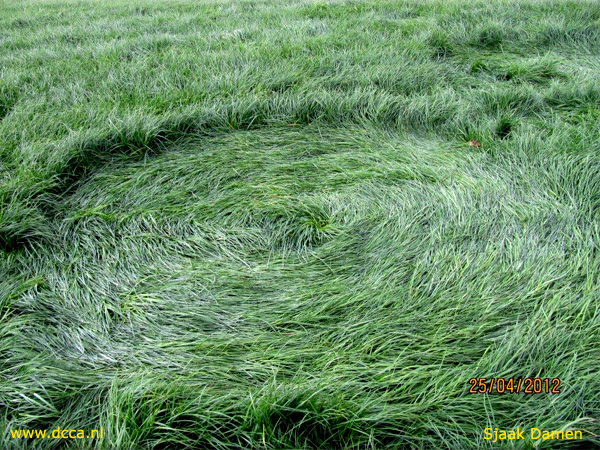 Bosschenhoofd, Netherlands crop circle, aerial photo 9