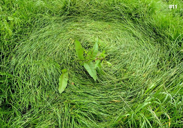 Bosschenhoofd, Netherlands crop circle, aerial photo 12
