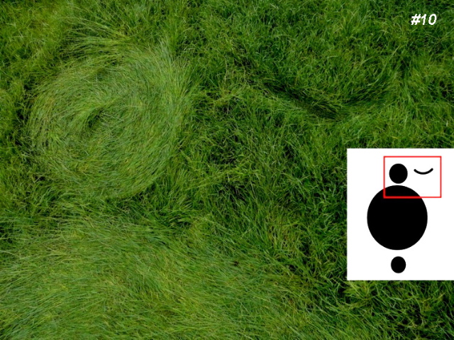 Grass Circle at Bosschenhoofd, Netherlands crop circle, aerial photo 11