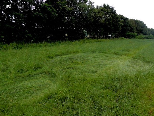 Grass Circle at Bosschenhoofd, Netherlands crop circle, aerial photo 4