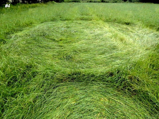 Grass Circle at Bosschenhoofd, Netherlands crop circle, aerial photo 5