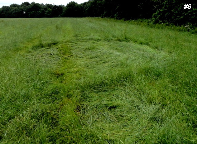 Grass Circle at Bosschenhoofd, Netherlands crop circle, aerial photo 7
