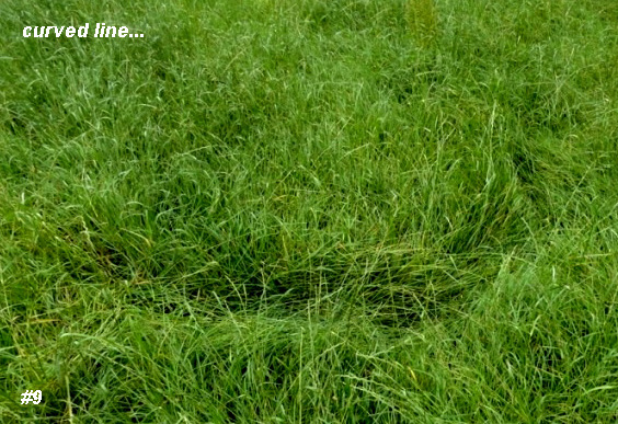 Grass Circle at Bosschenhoofd, Netherlands crop circle, aerial photo 10