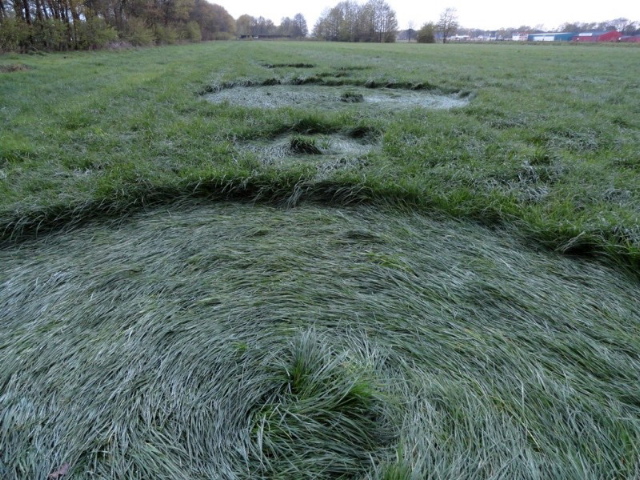 Bosschenhoofd, Netherlands crop circle, aerial photo 3