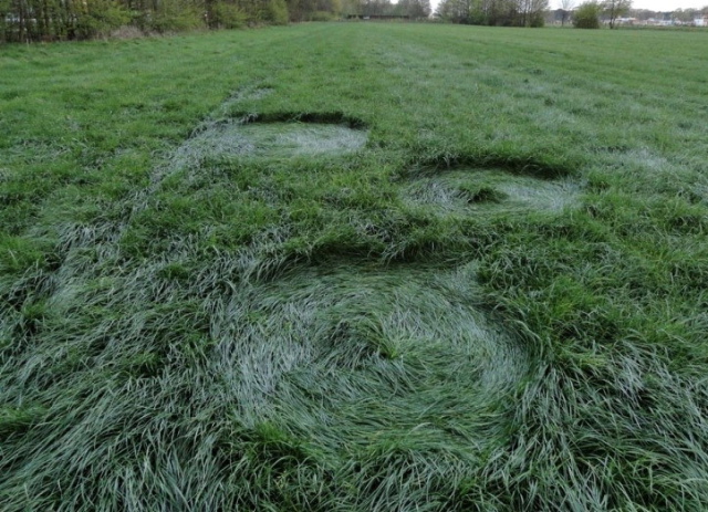 Bosschenhoofd, Netherlands crop circle, aerial photo 4