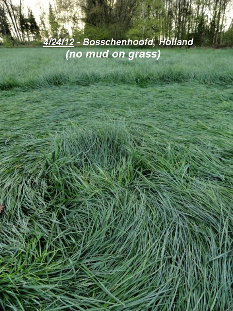 Bosschenhoofd, Netherlands crop circle, aerial photo 5