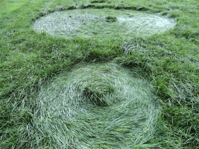 Bosschenhoofd, Netherlands crop circle, aerial photo 6