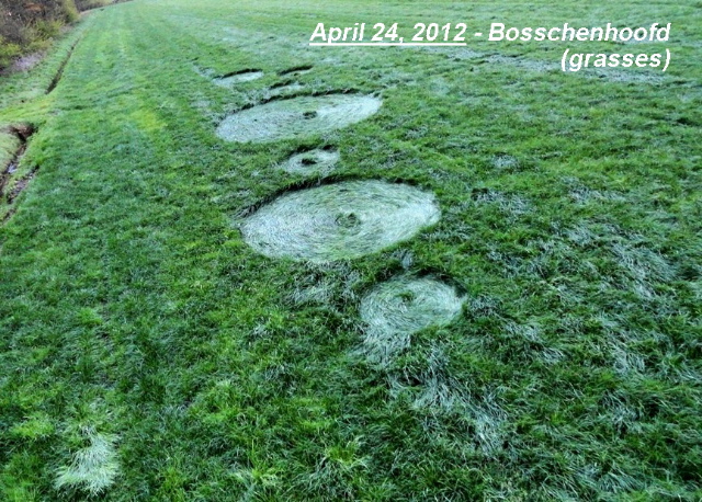 Bosschenhoofd, Netherlands crop circle, aerial photo 7