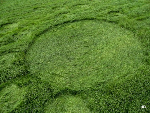 Bosschenhoofd, Netherlands crop circle, aerial photo 4
