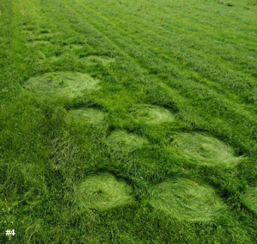 Bosschenhoofd, Netherlands crop circle, aerial photo 5