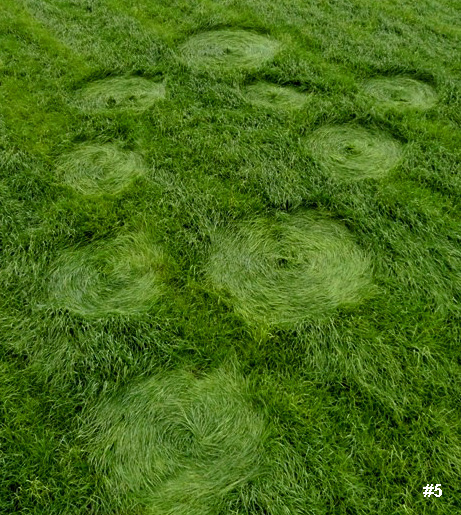 Bosschenhoofd, Netherlands crop circle, aerial photo 6