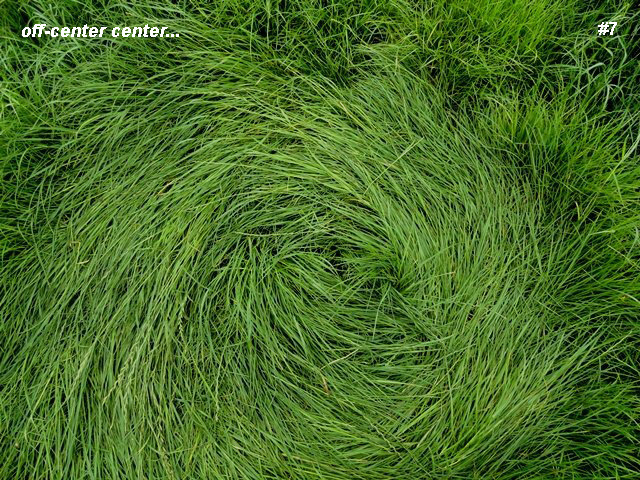 Bosschenhoofd, Netherlands crop circle, aerial photo 8