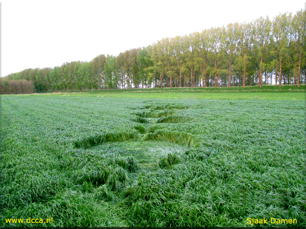 Hoeven, Noord-Brabant, Netherlands crop circle, aerial photo 11