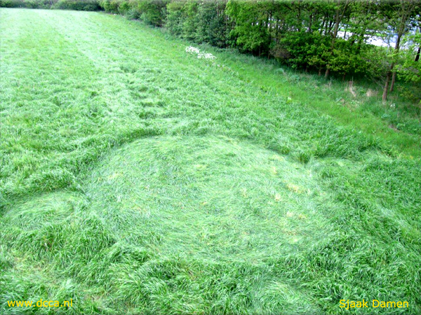 Grass Pattern at Hoeven, Noord-Brabant, Netherlands crop circle, aerial photo 13