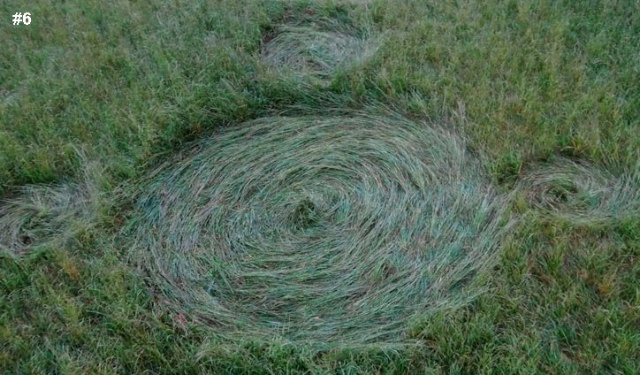Hoeven (5), Netherlands crop circle, aerial photo 7