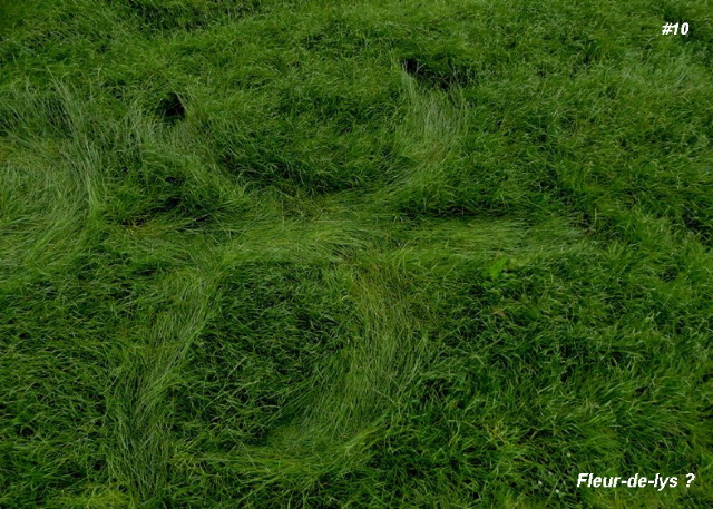Grass Circle at Bosschenhoofd.The, Netherlands crop circle, aerial photo 11
