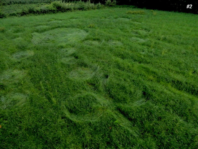 Grass Circle at Bosschenhoofd.The, Netherlands crop circle, aerial photo 3