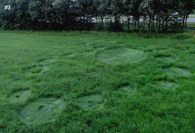 Grass Circle at Bosschenhoofd.The, Netherlands crop circle, aerial photo 4