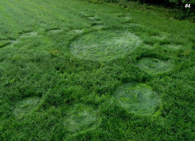 Grass Circle at Bosschenhoofd.The, Netherlands crop circle, aerial photo 5