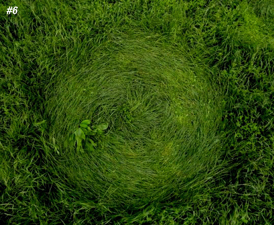 Grass Circle at Bosschenhoofd.The, Netherlands crop circle, aerial photo 7
