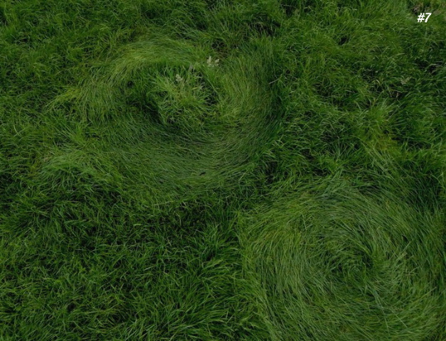 Grass Circle at Bosschenhoofd.The, Netherlands crop circle, aerial photo 8