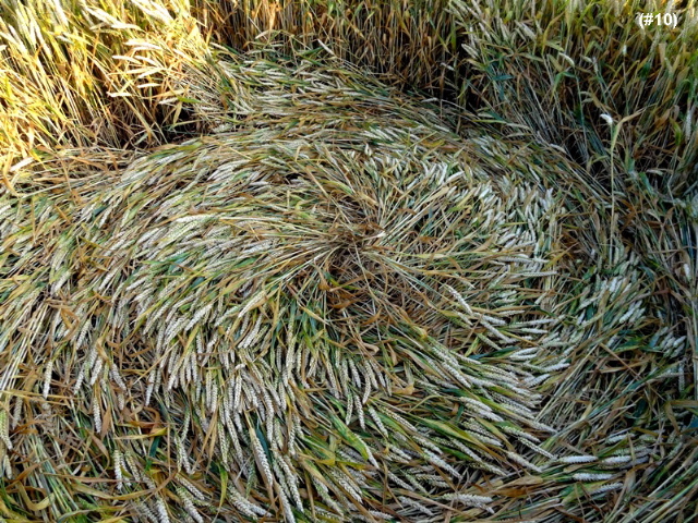 Standdaarbuiten, Netherlands crop circle, aerial photo 11