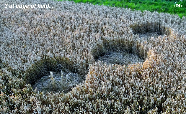 Standdaarbuiten, Netherlands crop circle, aerial photo 5
