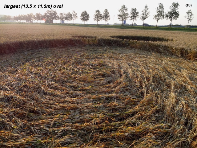 Standdaarbuiten, Netherlands crop circle, aerial photo 7