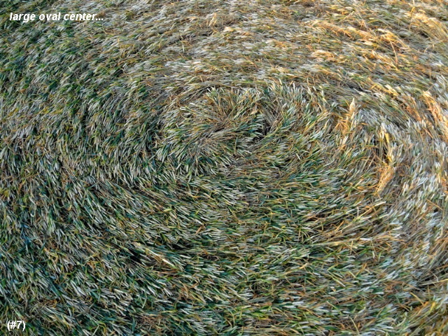 Standdaarbuiten, Netherlands crop circle, aerial photo 8