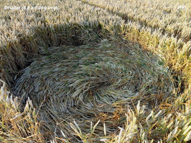 Standdaarbuiten, Netherlands crop circle, aerial photo 9