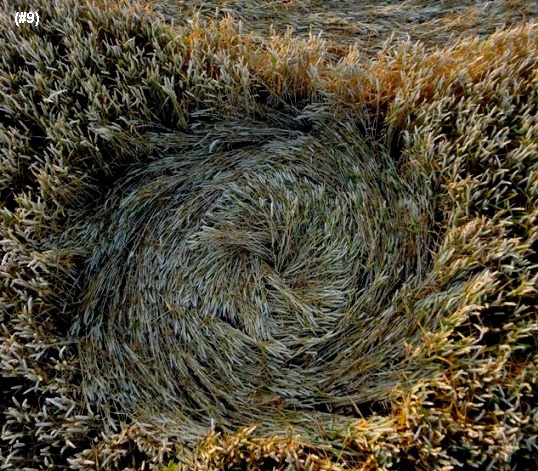 Standdaarbuiten, Netherlands crop circle, aerial photo 10