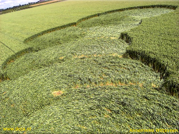 Zevenberschen-Hoek, Noord-Brabant, Netherlands crop circle, aerial photo 5