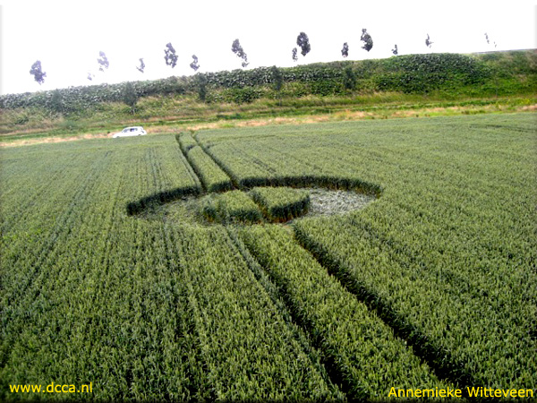 Zevenberschen-Hoek, Noord-Brabant, Netherlands crop circle, aerial photo 6