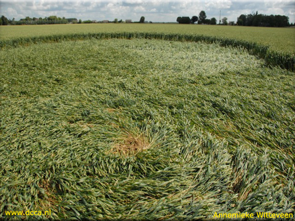 Zevenberschen-Hoek, Noord-Brabant, Netherlands crop circle, aerial photo 7